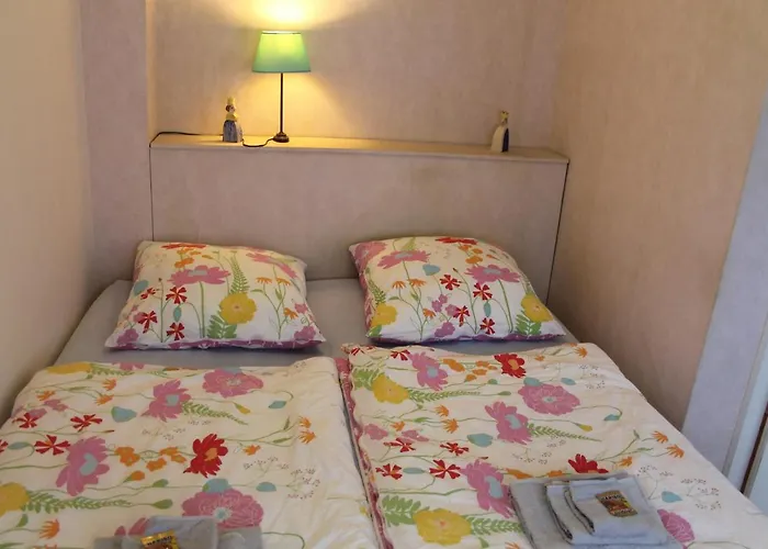 Am Sonnenhuegel Mit Terrasse 公寓 *