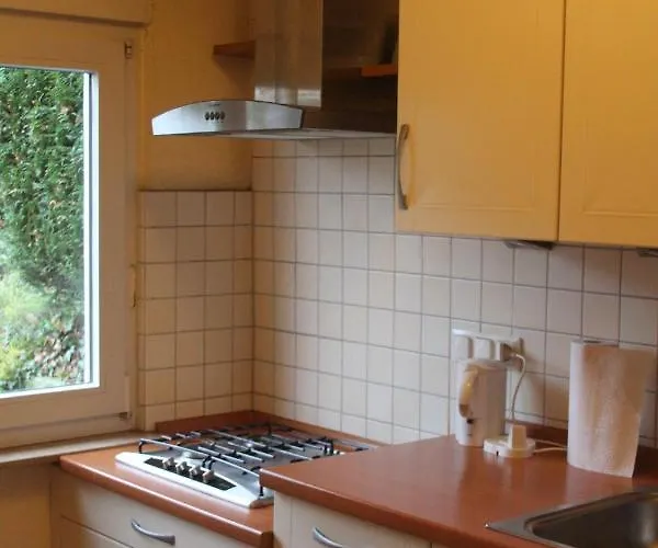 公寓 Am Sonnenhuegel Mit Terrasse *